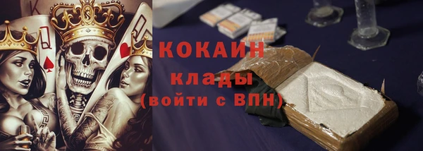 гидра Инсар