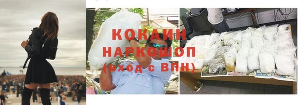 гидра Инсар
