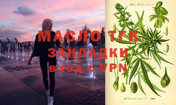 индика Иннополис