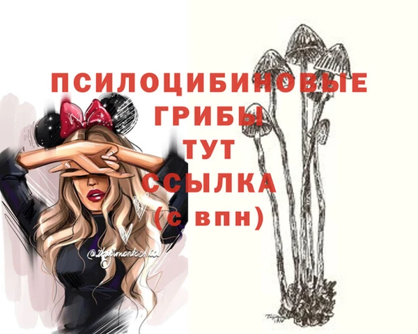 тгк Зеленокумск