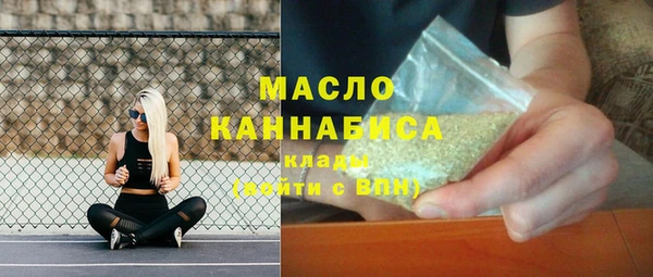 гидра Инсар