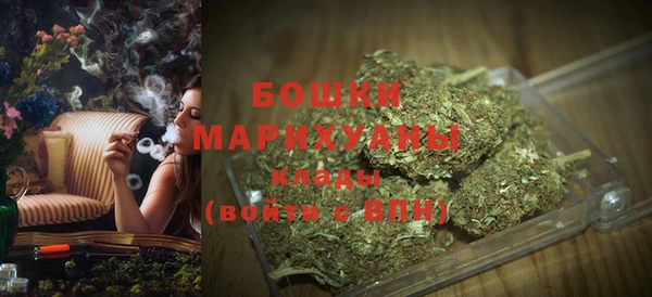 индика Иннополис