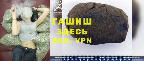 гидра Инсар
