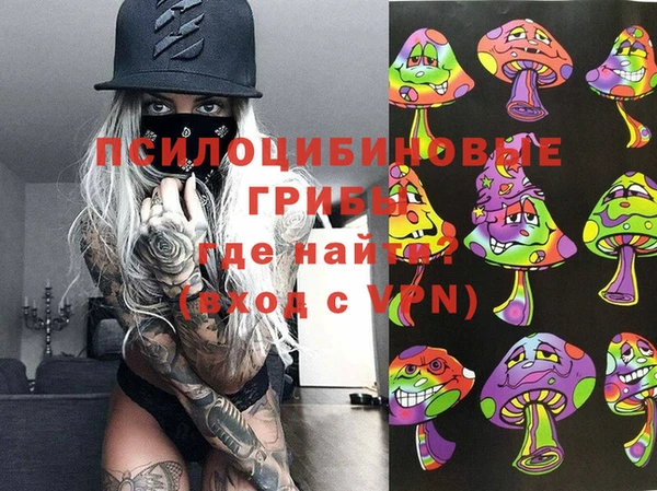 тгк Зеленокумск