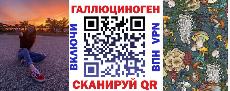 Купить где  Вуктыл  Галлюциногенные грибы Psilocybine cubensis 